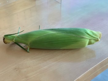 トウモロコシ大盛況でした♪